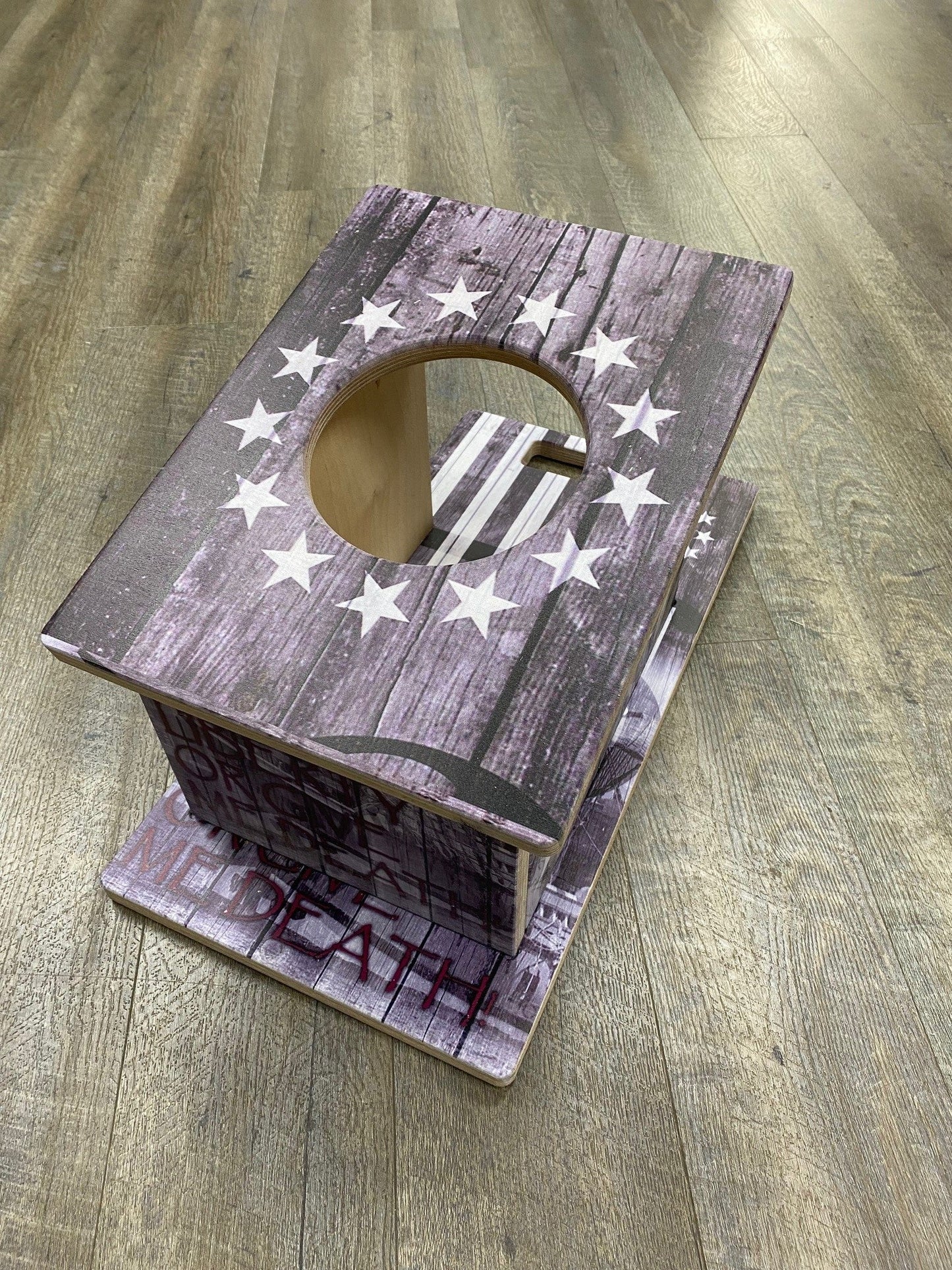 Pro Series Cornhole Airmail Practice Trainer Board