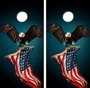 Professional Custom Cornhole Boards with Bags