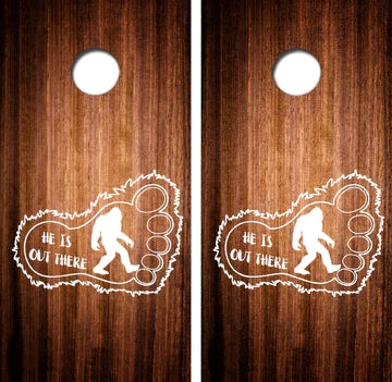 Professional Custom Cornhole Boards with Bags