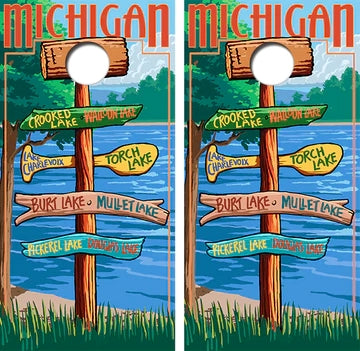 Professional Custom Cornhole Boards with Bags