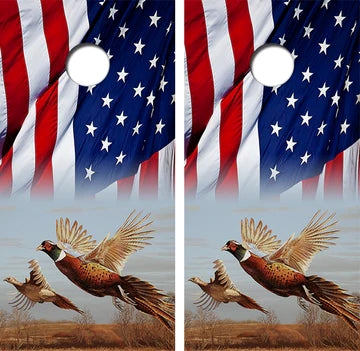 Professional Custom Cornhole Boards with Bags