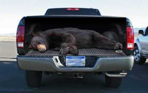 Full Size Black Bear Tailgate Wrap Decal