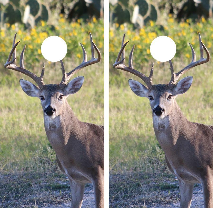 White Tail Deer Buck Cornhole Wood Board Skin Wrap