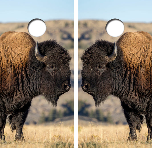 American Bison/Buffalo Cornhole Wrap Decal with Free Laminate Included